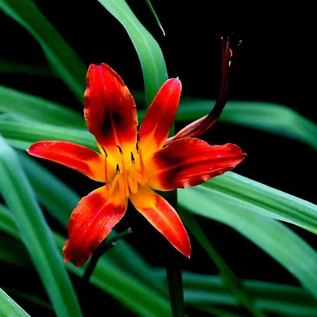 Apartament Pokój Pod Kluczem *