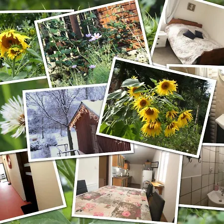 Pod Kluczem 公寓 *