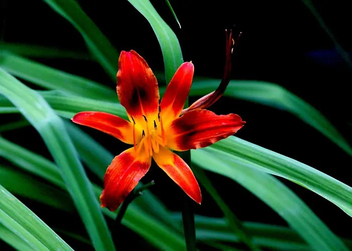 Apartament Pokój Pod Kluczem *