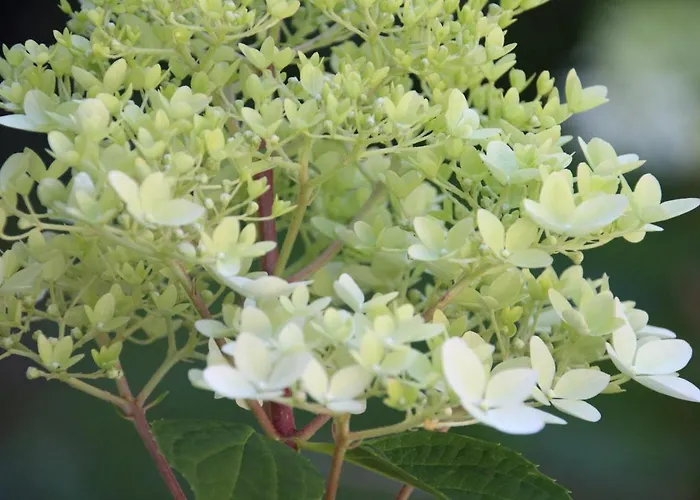 Pokój Pod Kluczem Wolimierz